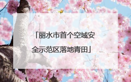 丽水市首个空域安全示范区落地青田
